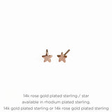 Confetti Post Earrings