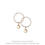 Birthstone Drop Hoops