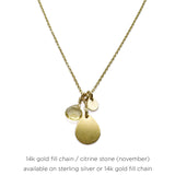 Birthstone Paillette Charm Necklace