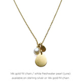 Birthstone Paillette Charm Necklace