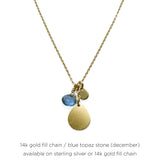 Birthstone Paillette Charm Necklace